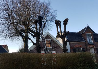 Hovenier