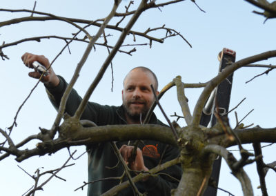Op zoek naar een hoveniersbedrijf in het Gooi en Omstreken? Hoveniersbedrijf Dennis Jacobs heeft jarenlange ervaring op het gebied van: tuinadvies, tuinaanleg, tuinonderhoud, tuinontwerp, bestrating en kleine timmerwerkzaamheden.