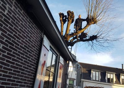 Hoveniersbedrijf uit Hilversum