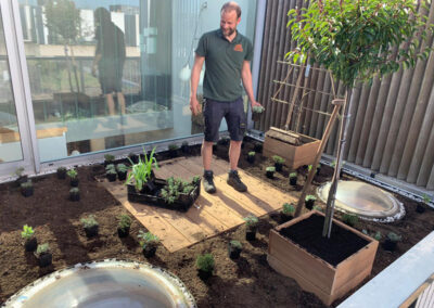 Kleine tuin renovatie. Planten zetten.