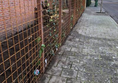 Schutting plaatsen met klimplanten