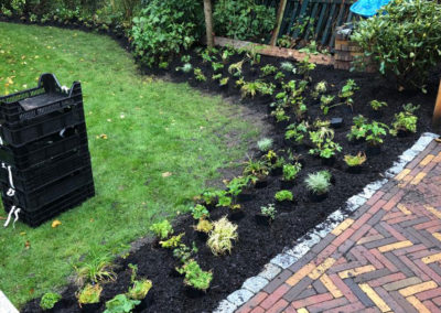 Wilt u het onderhoud van uw tuin door een hoveniersbedrijf laten uitvoeren? Van het snoeien, bemesten tot aan het schoon harken van uw tuin. Wij staan voor u klaar.