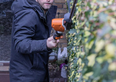 Heg snoeien door Hoveniersbedrijf.
